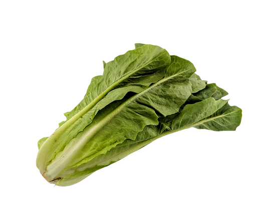 Romaine Lettuce - Local