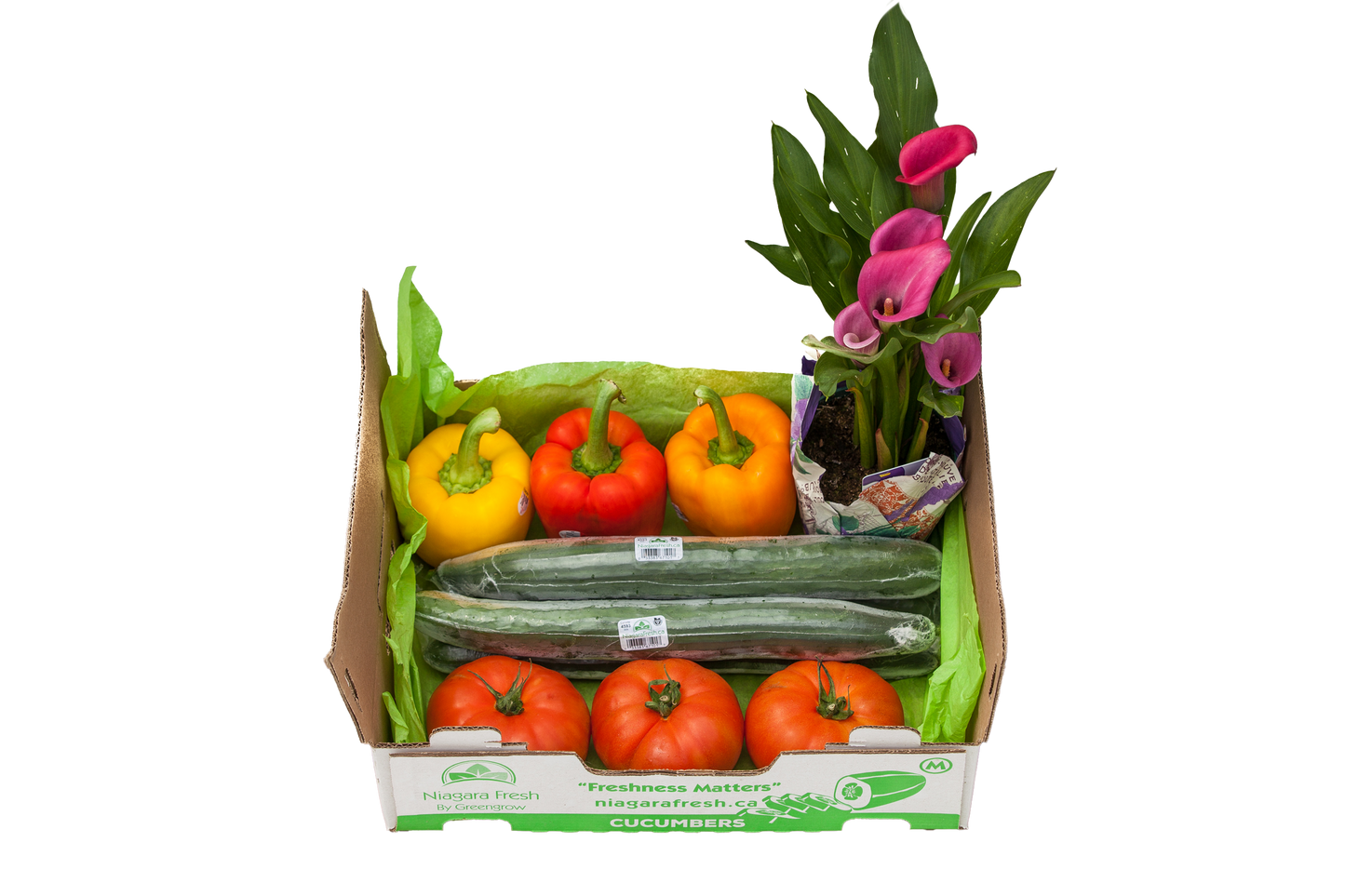 Brighten Someones Day Box