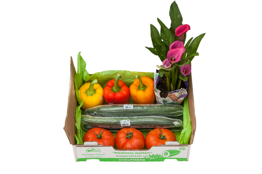 Brighten Someones Day Box