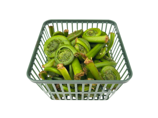 1 Quart Local Fiddleheads