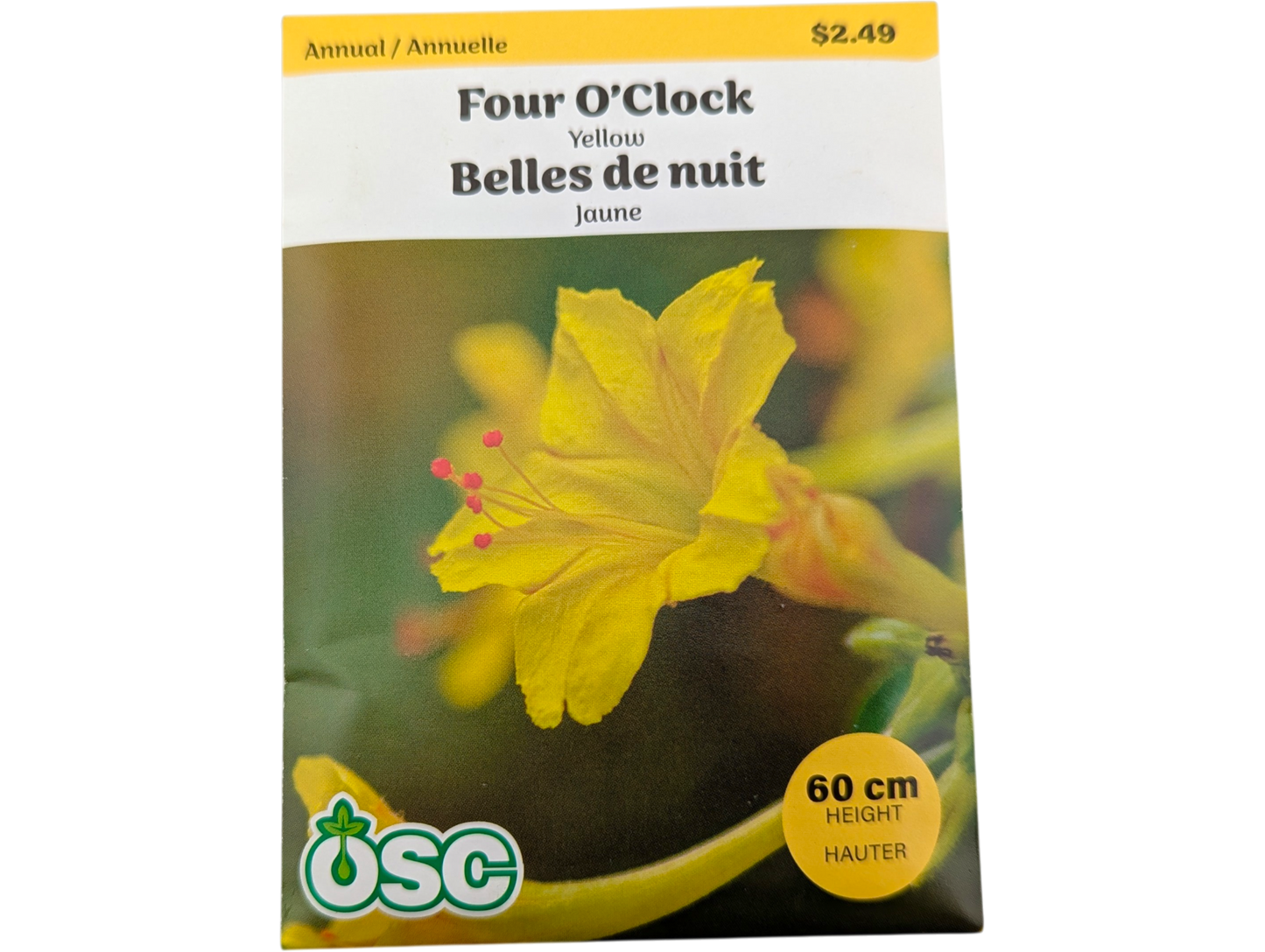 Four O'Clock Yellow