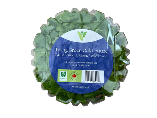 Green Oak Lettuce Clamshell - Local