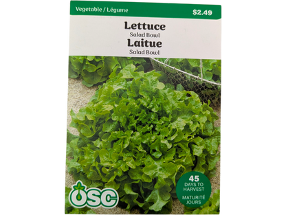 Lettuce Salad Bowl