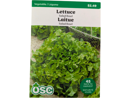 Lettuce Salad Bowl