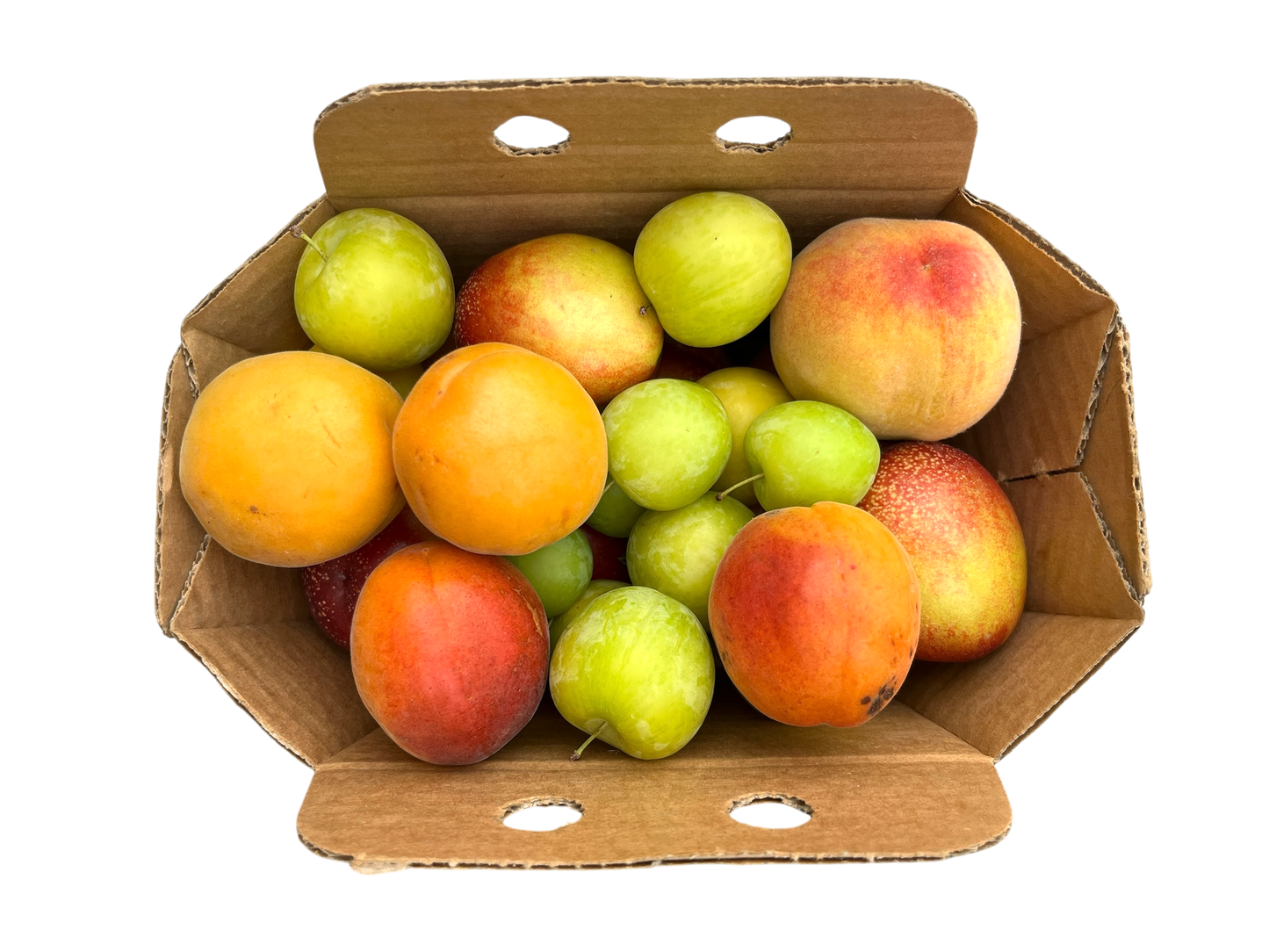 Mixed Fruit Basket - 2L