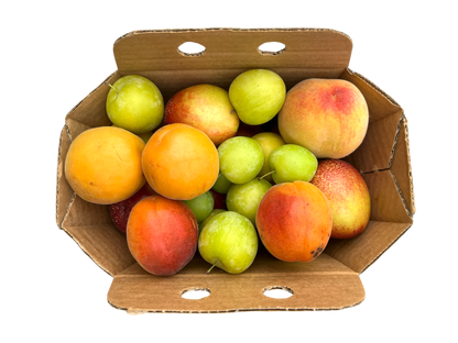 Mixed Fruit Basket - 2L