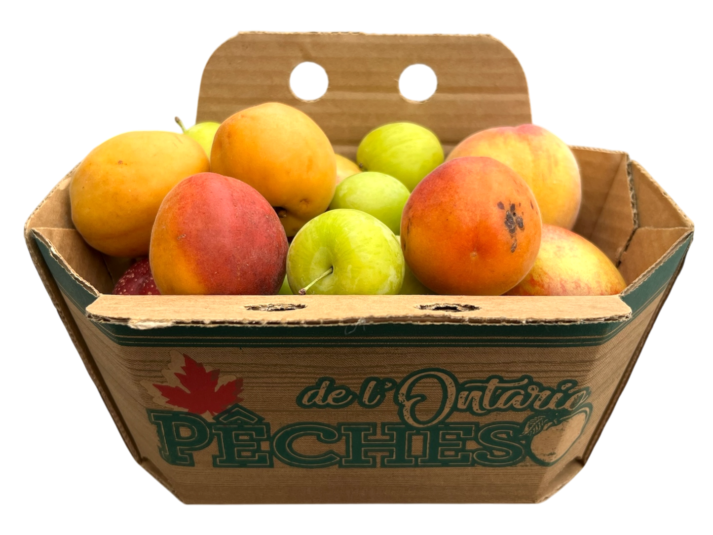 Mixed Fruit Basket - 2L