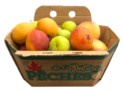 Mixed Fruit Basket - 2L
