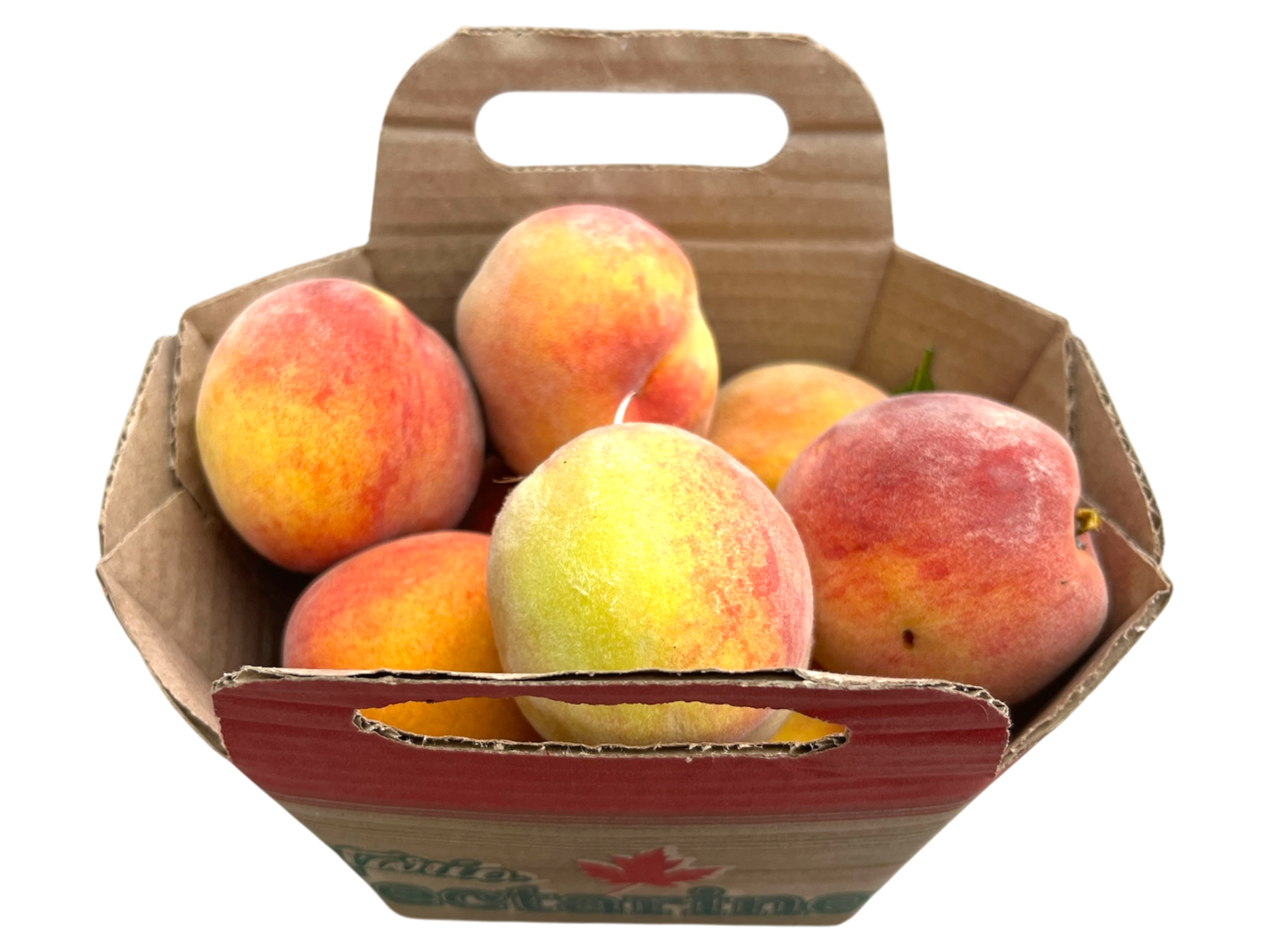 Local Peaches