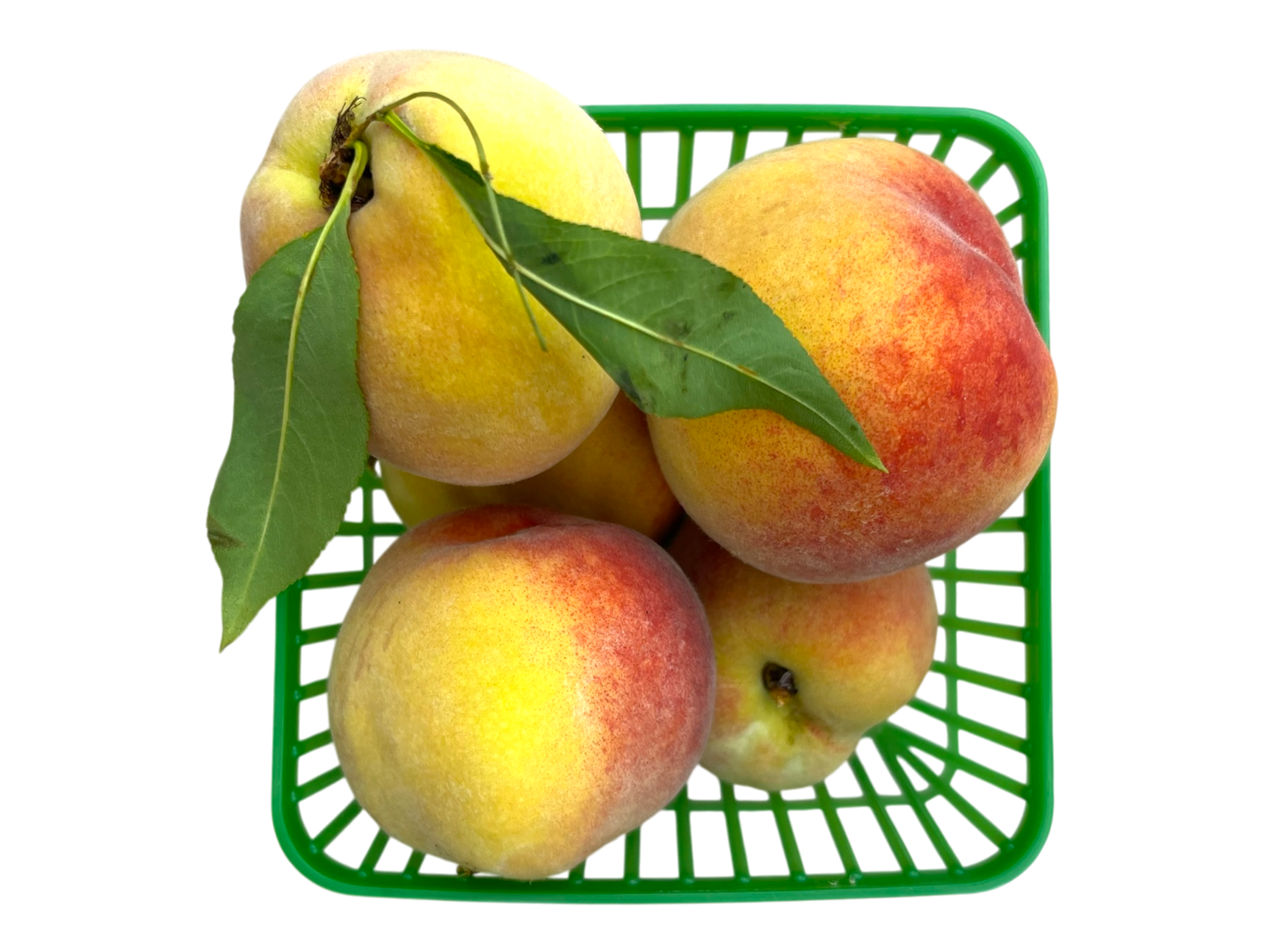 Local Peaches