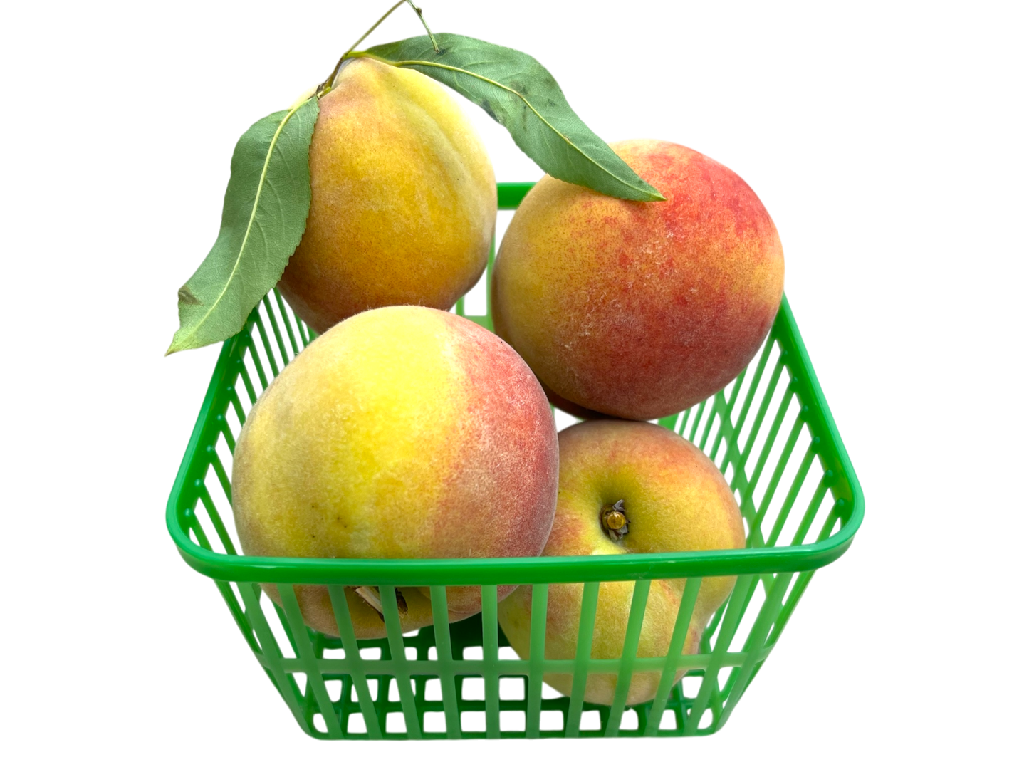Local Peaches
