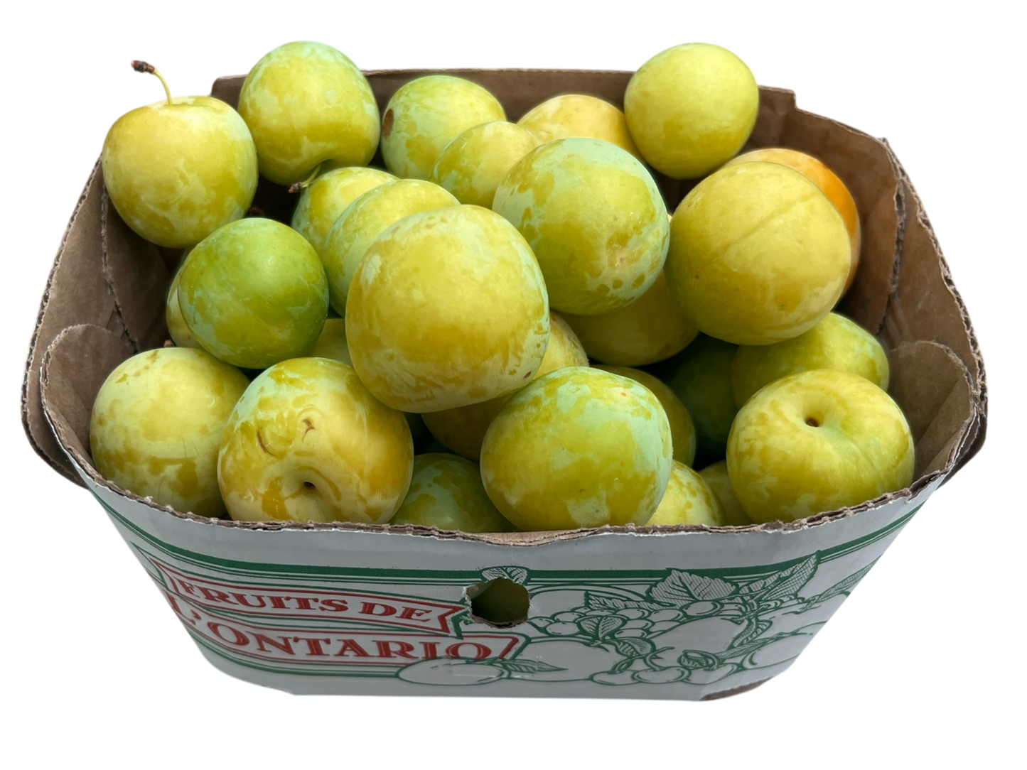 Yellow Plums - Local