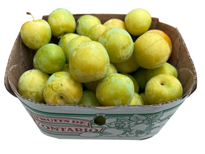 Yellow Plums - Local
