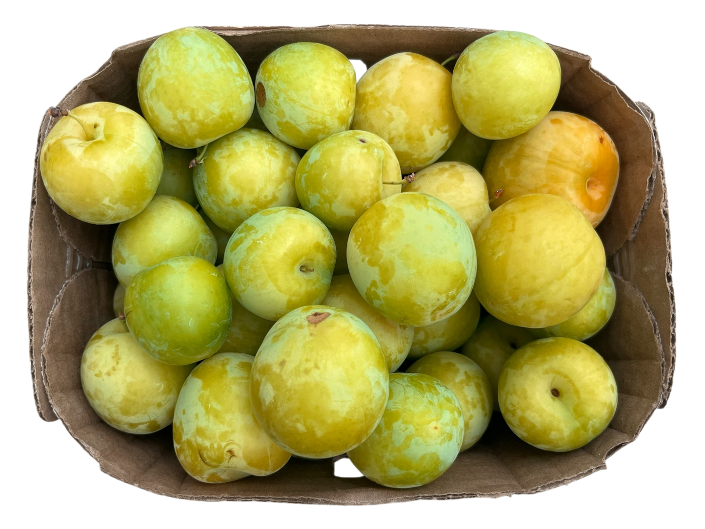 Yellow Plums - Local