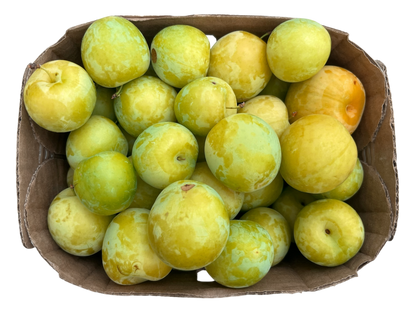 Yellow Plums - Local