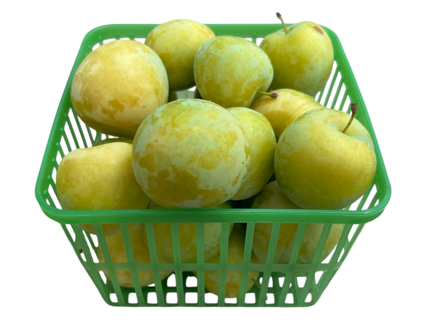 Yellow Plums - Local