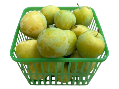 Yellow Plums - Local