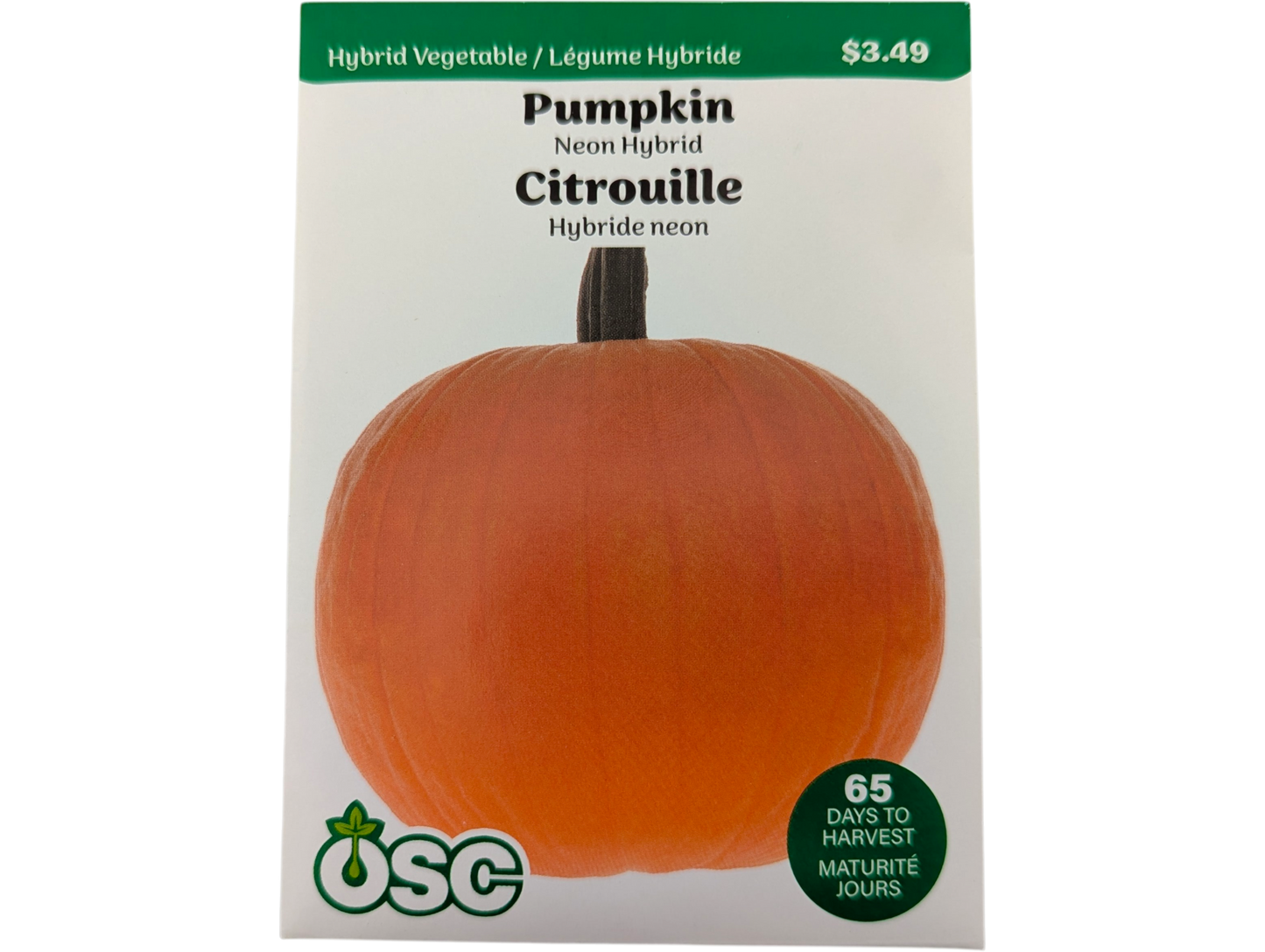 Pumpkin Neon Hybrid