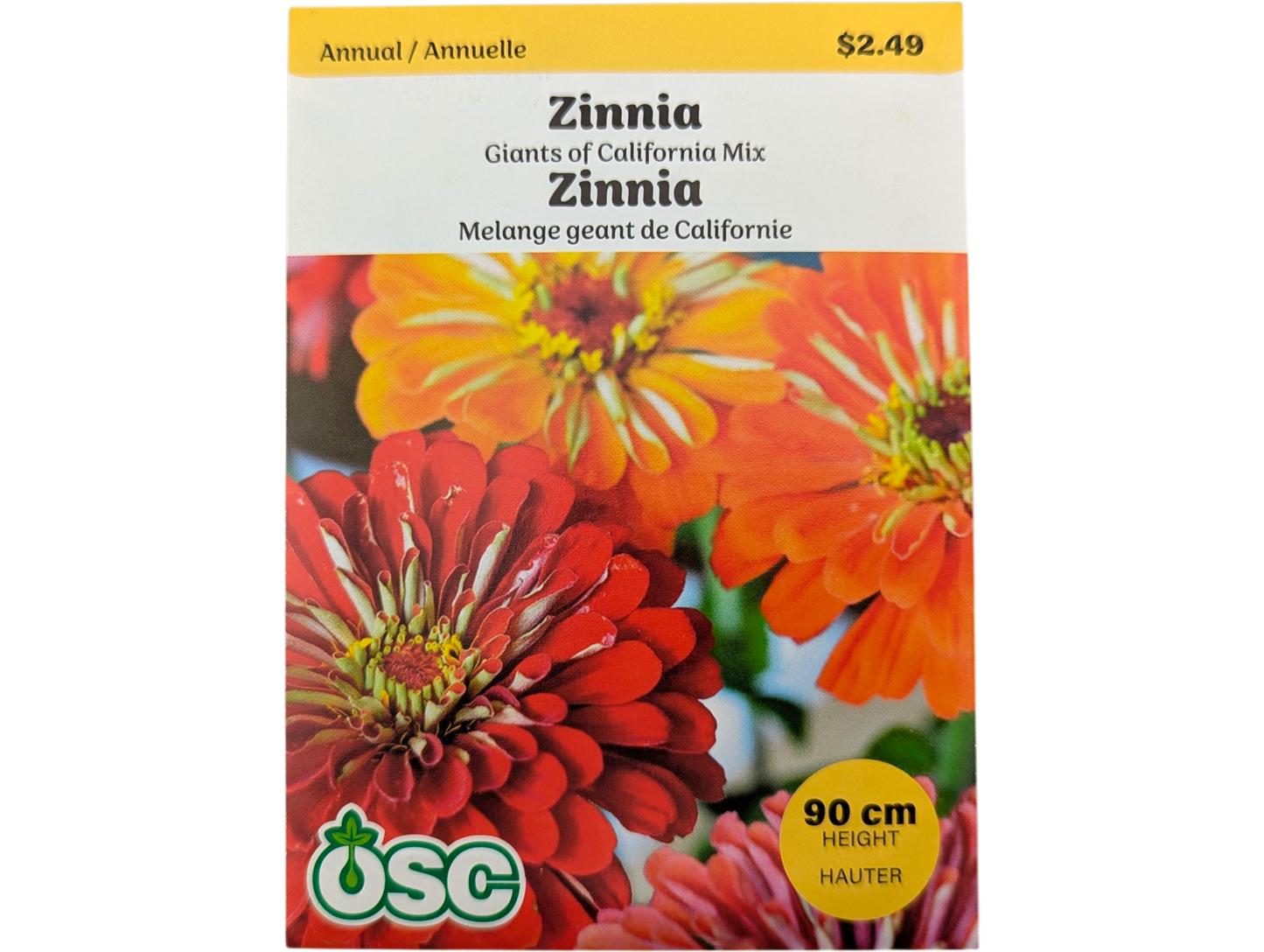 Zinnia Giants of California Mixed