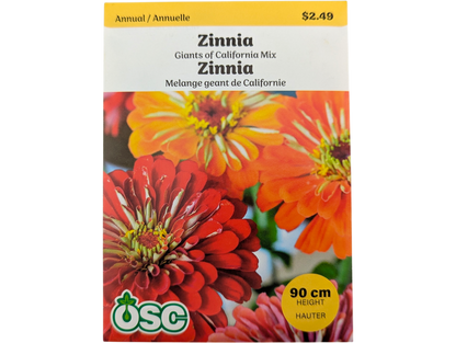 Zinnia Giants of California Mixed