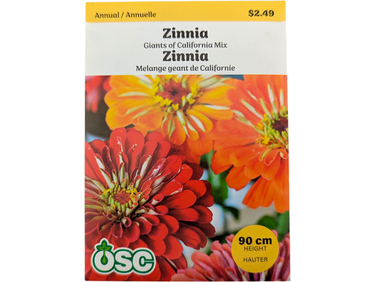 Zinnia Giants of California Mixed