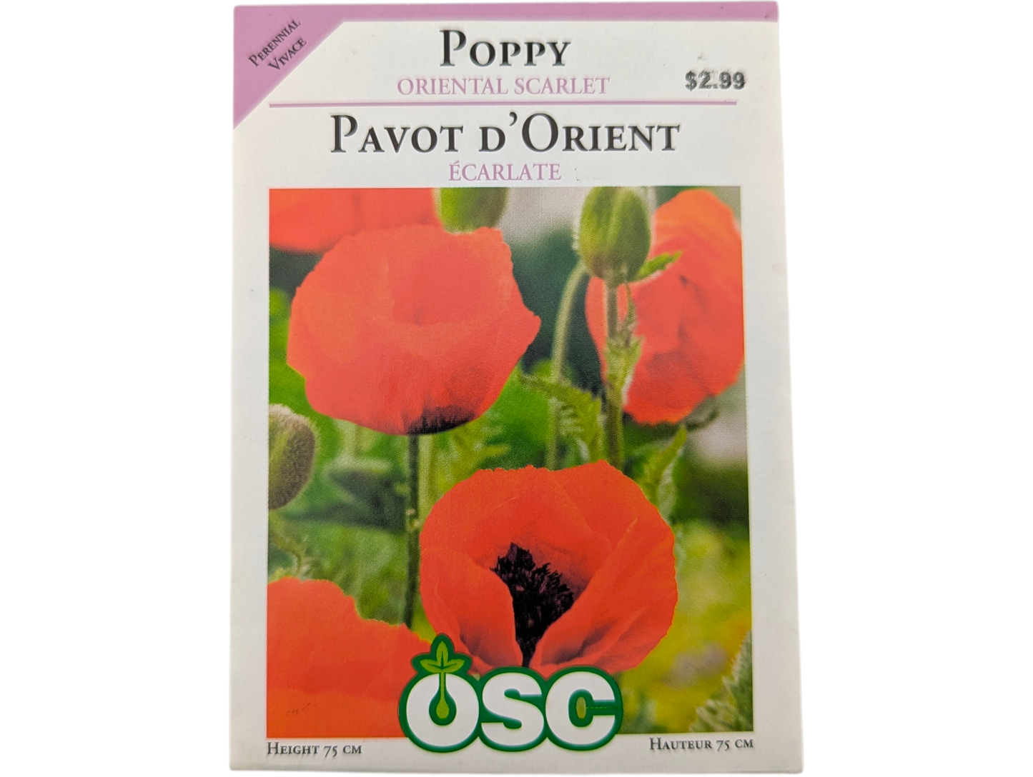 Poppy Oriental Scarlet