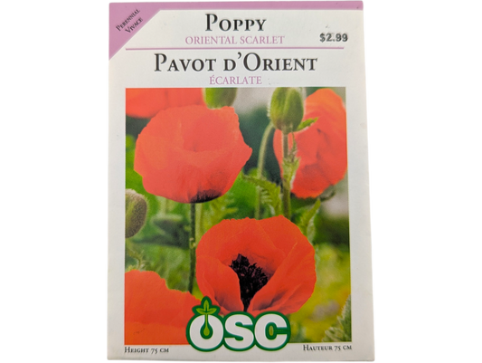 Poppy Oriental Scarlet