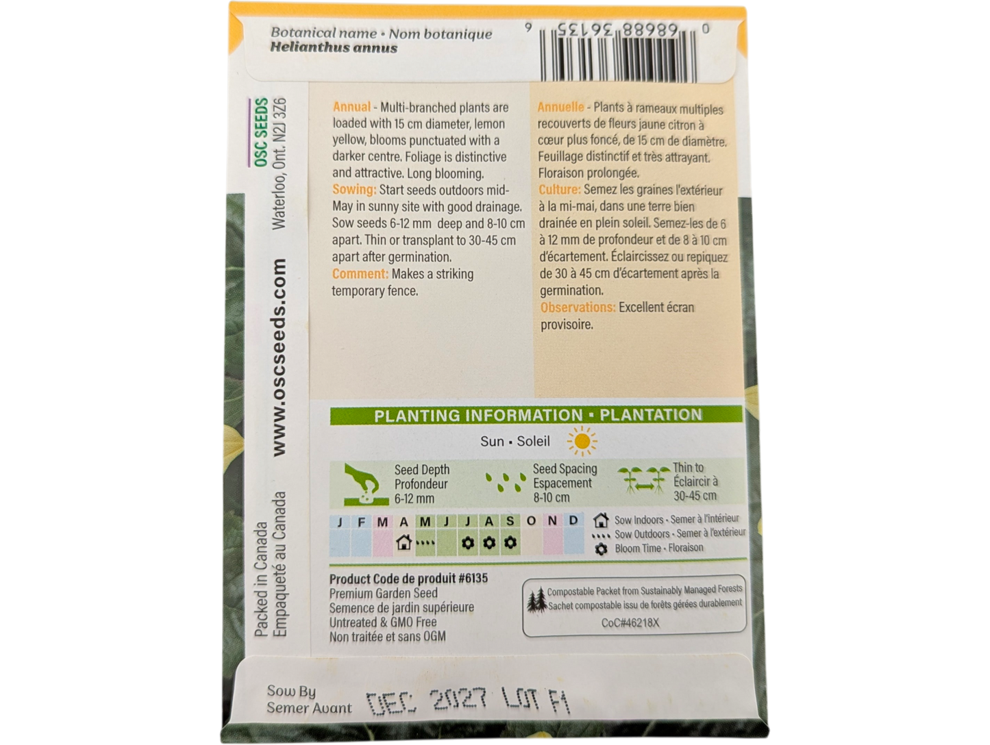 Sunflowers Lemon Queen