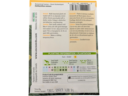 Sunflowers Lemon Queen