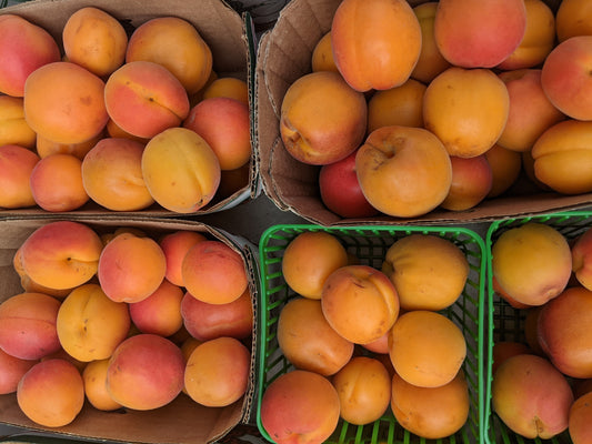 Apricots - Local