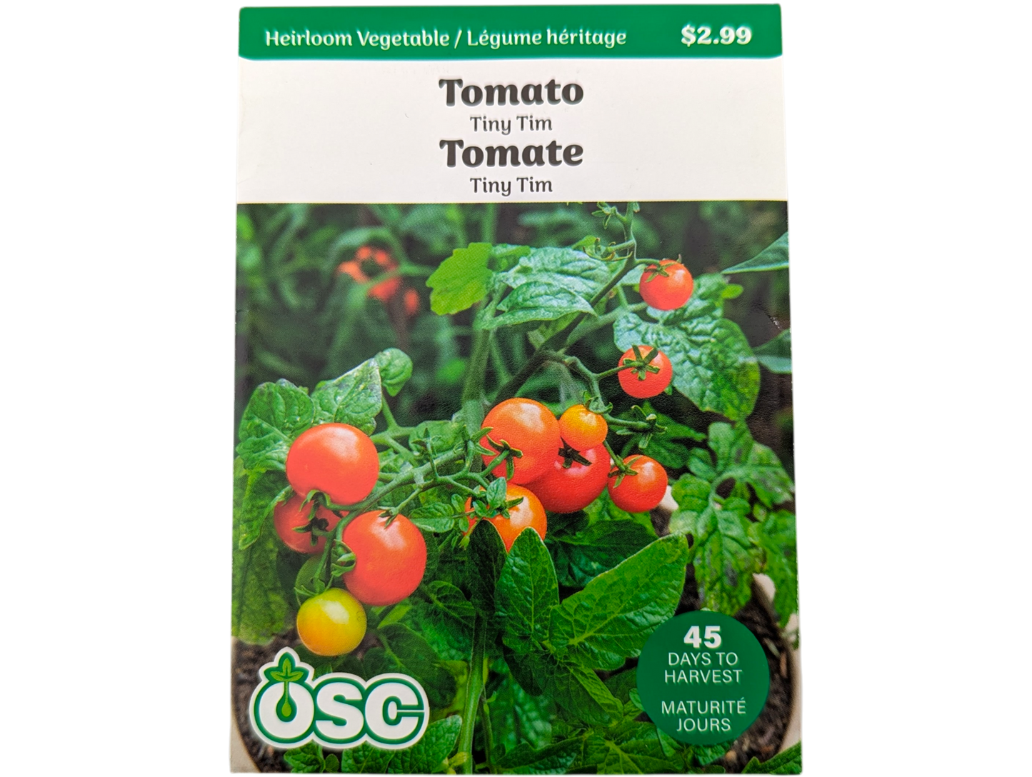 Tomato Tiny Tim