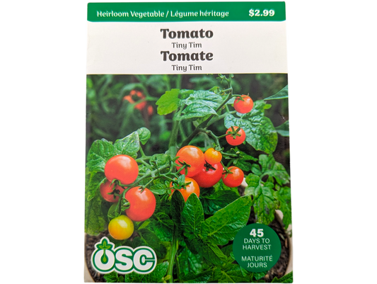 Tomato Tiny Tim