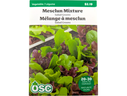 Mesclun Mixture Salad Greens