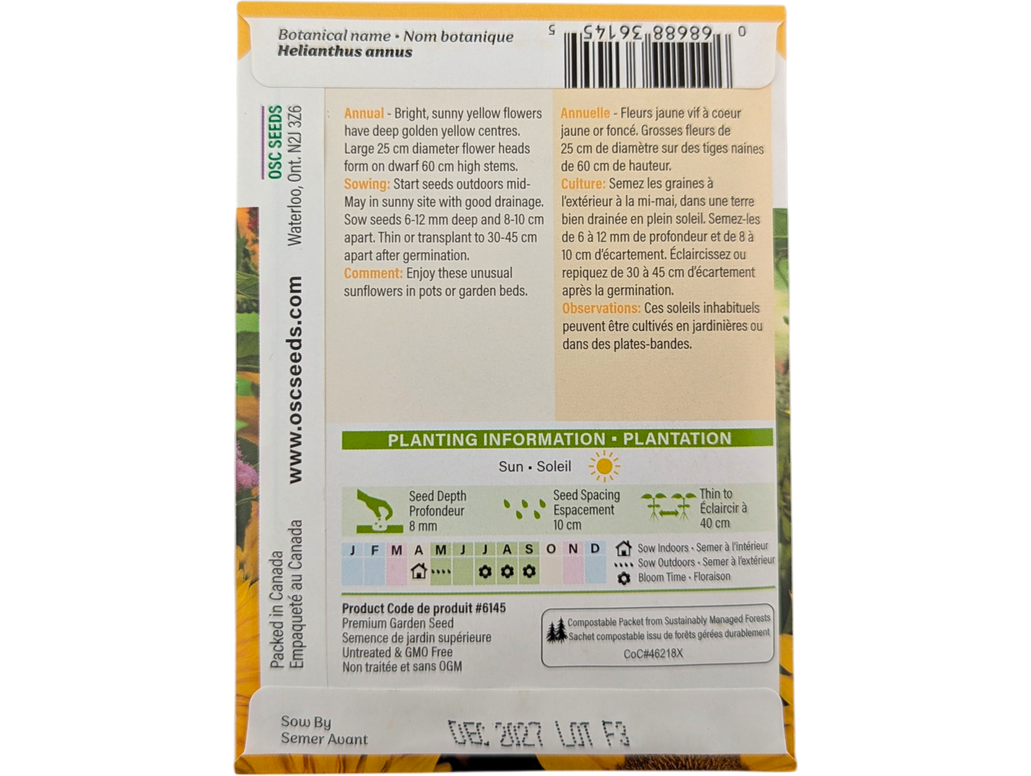 Sunflowers Sunspot (Dwarf)