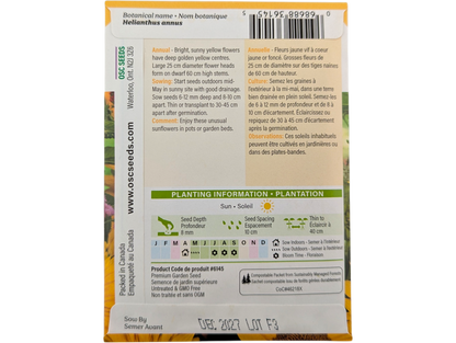 Sunflowers Sunspot (Dwarf)