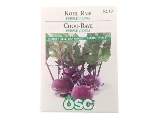 Kohl Rabi Purple Vienna