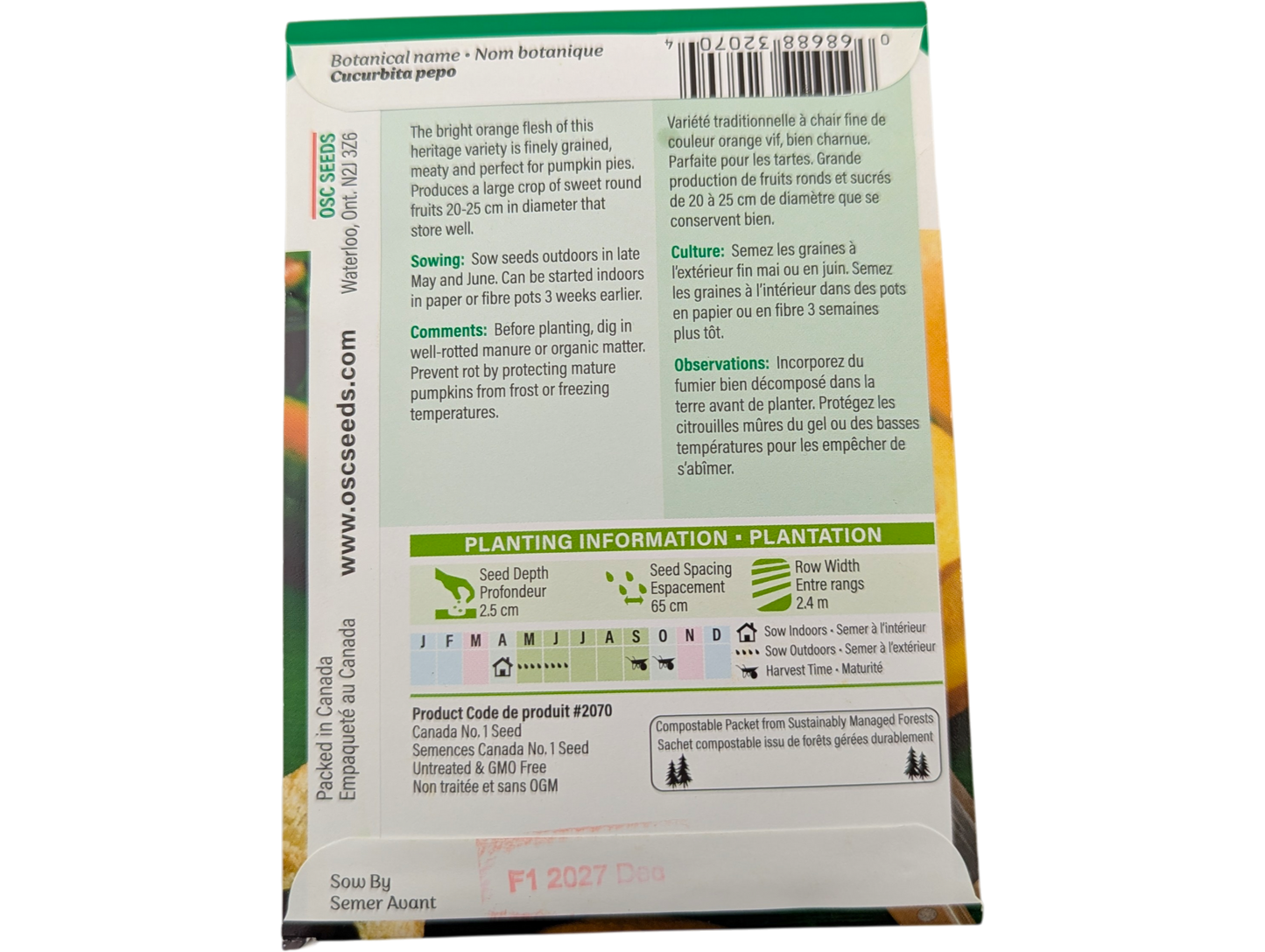 Pumpkin Small Sugar or Pie