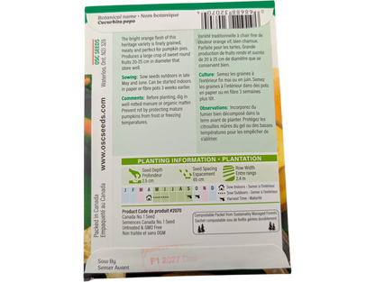 Pumpkin Small Sugar or Pie