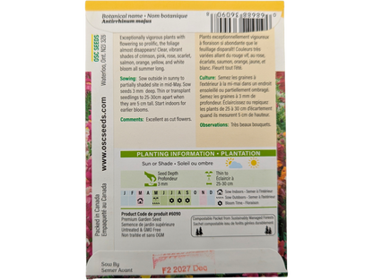 Snapdragon Panorama Mixed Colours