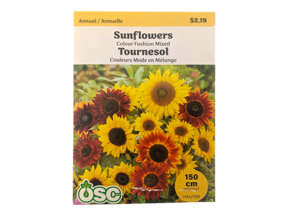 Sunflowers Colour Fashion Mixed