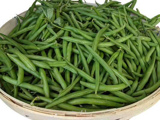 Green Beans - Bulk - Local