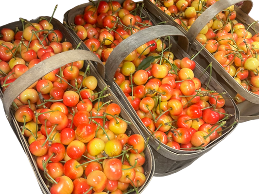 Local White Cherries