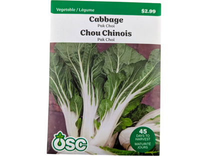 Cabbage Pak Choi