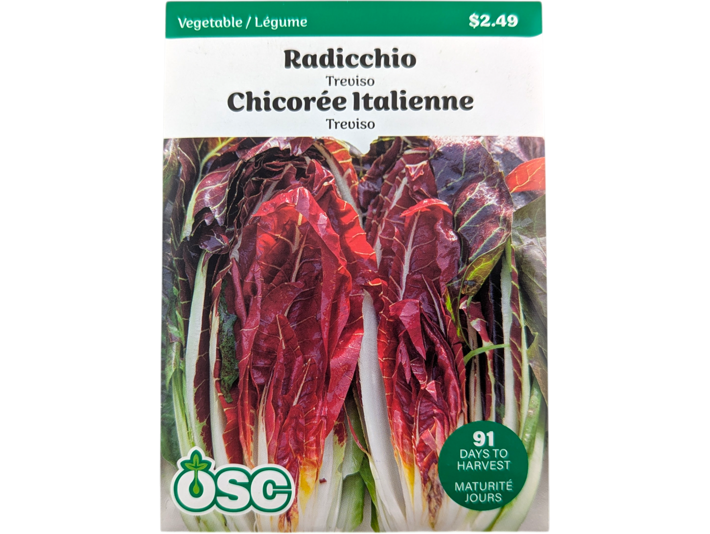 Radicchio Treviso