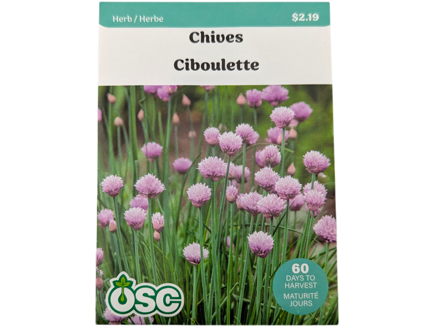 Chives