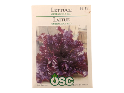 Lettuce Outrageous Red
