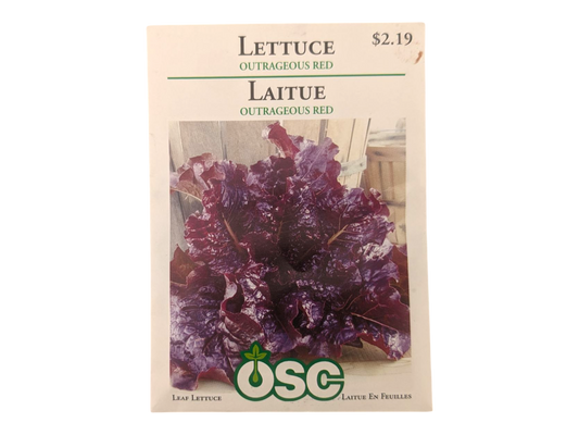 Lettuce Outrageous Red