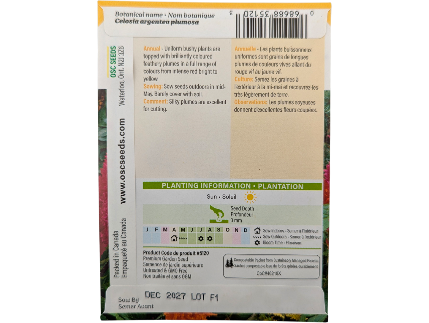 Celosia Plumosa Mixed