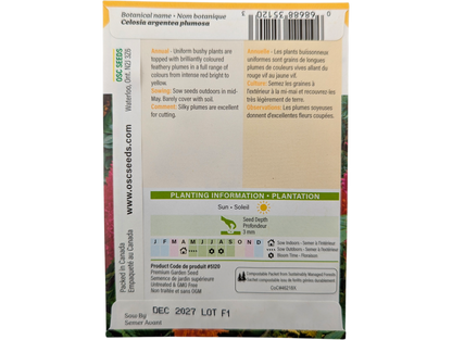 Celosia Plumosa Mixed