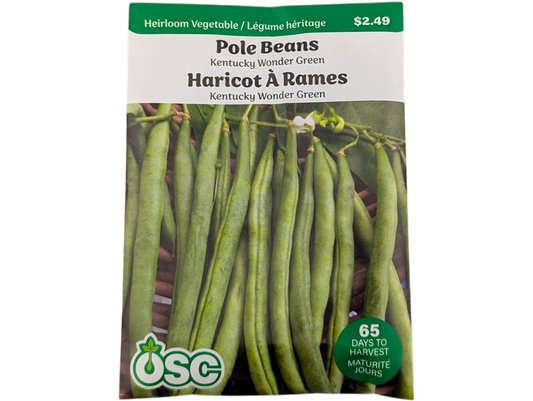 Pole Beans Kentucky Wonder Green